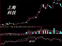 RSIָӦ